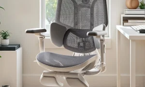 Photo by hbada.uk - Adjustable Seat Angle vs Fixed Base on Ergonomic Work Chairs
