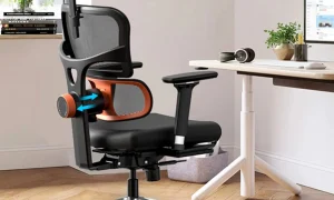 Photo by eurekaergonomic.com - Ergonomic Office Chair Recline Angle: What Does Spine Research Say?