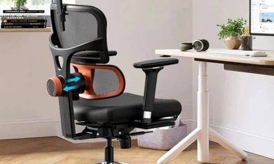 Photo by eurekaergonomic.com - Ergonomic Office Chair vs Balance Ball Chair for Lower Back Pain