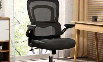 Photo by business.walmart.com - How to Clean and Maintain a Mesh Ergonomic Office Chair
