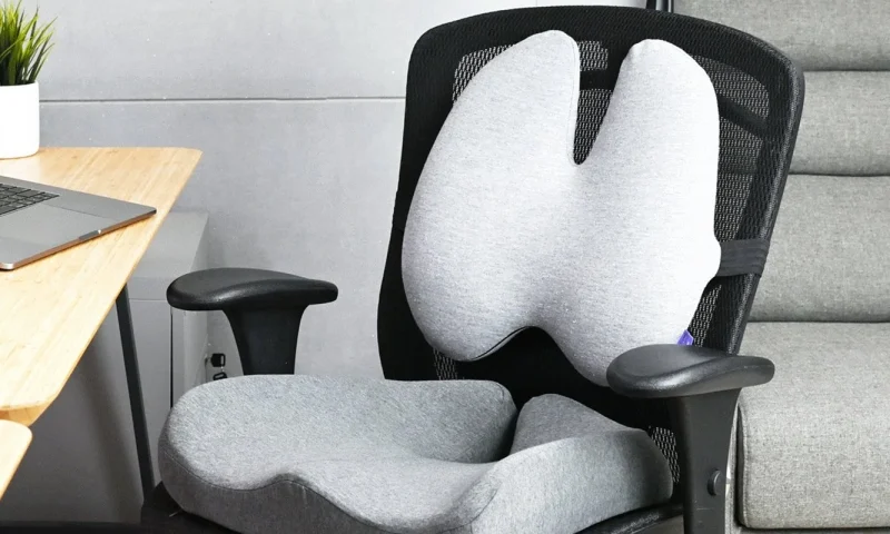Photo by namibian.com.na - Lumbar Support Pillow vs Built-In Lumbar Adjustment in Office Chairs
